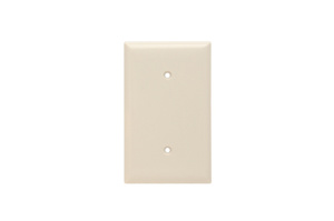 SP14-LA WP SMOOTH BLANK STRAP M