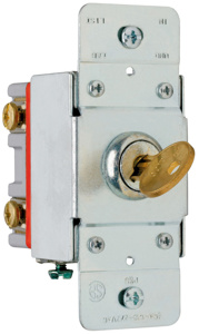 PS20AC2-KL TGL-SW AC 2P 20A BRN KEYLCK