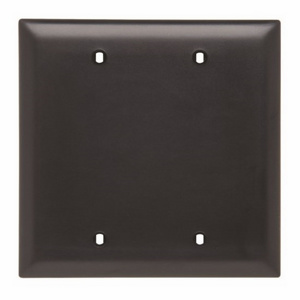 Pass & Seymour Standard Blank Wallplates 2 Gang Black Nylon Box