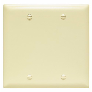 Pass & Seymour Standard Blank Wallplates 2 Gang Ivory Nylon Box
