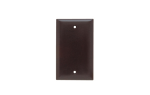 SP13 PLATE PLASTIC 1G BLNK W/OU