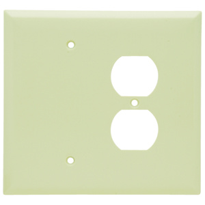 Pass & Seymour Oversized Blank Duplex Wallplates 2 Gang Ivory Plastic Device