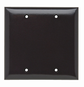 SP23 PLATE PLASTIC 2G BLANK W/O