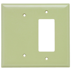 Pass & Seymour Oversized Blank Decorator Wallplates 2 Gang Ivory Plastic Device