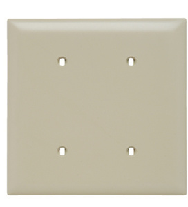 SP24-I SMOOTH WALL PLATE 2G BLN