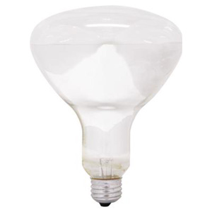 Current Lighting BR30 Incandescent Lamps BR40 65 W Medium (E26)