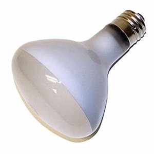 Current Lighting R40 Incandescent Lamps 120 V 300 W 3700 lm Medium (E26)