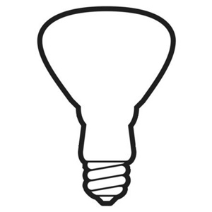 Current Lighting ProLine® Incandescent Lamps BR30 65 W Medium (E26)