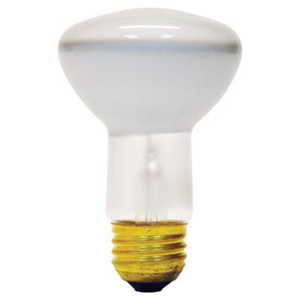 Current Lighting R20 Incandescent Lamps 120 V 45 W 310 lm 2500 K Medium (E26)