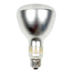 Current Lighting ER30 Incandescent Lamps ER30 525 W Medium (E26)