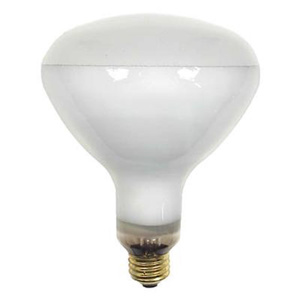GE Lamps Saf-T-Gard® Series Shatter-resistant Incandescent Lamps R40 250 W Medium (E26)