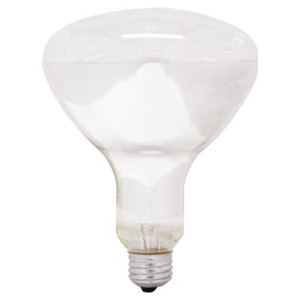 Current Lighting Saf-T-Gard® Shatter-resistant Incandescent Lamps BR40 120 W Medium (E26)