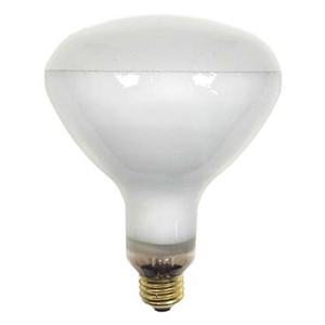 Current Lighting R40 Incandescent Heat Lamps 120 V 125 W 1400 lm 2500 K Medium (E26)