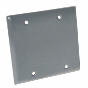 5175-5 WP COVER 2G VERT DM BLA      RACO