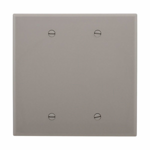 Eaton Wiring Devices Midsized Blank Wallplates 2 Gang Gray Polycarbonate Box