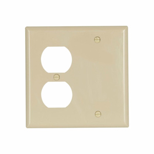 Eaton Wiring Devices Standard Blank Duplex Wallplates 2 Gang Ivory Nylon Device