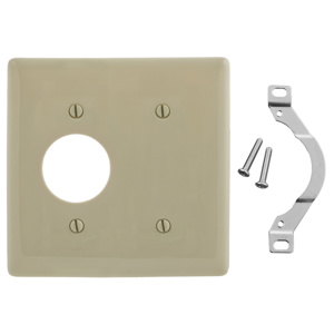 Hubbell Wiring Standard Blank Round Hole Wallplates 2 Gang 1-2/5 in Ivory Nylon Strap