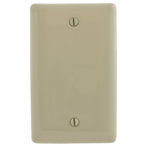 Hubbell Wiring Standard Blank Wallplates 1 Gang Ivory Nylon Box