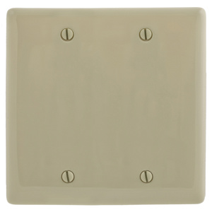 Hubbell Wiring Standard Blank Wallplates 2 Gang Ivory Nylon Box