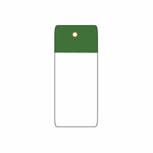 Brady Self-laminating Blank Tags 5 x 1-1/2 in Polyester 10 Mil Green