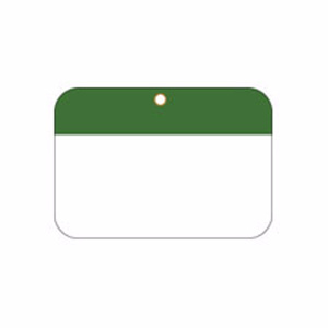 Brady Self-laminating Blank Tags 2 x 3 in Polyester 10 Mil Green