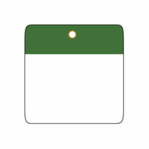 Brady Self-laminating Blank Tags 3 x 3 in Polyester 10 Mil Green