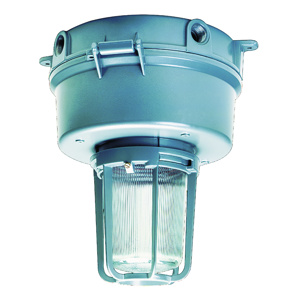 HLI Solutions KG Series Enclosed and Gasketed - Utility Light Accessory - Globe