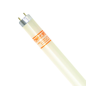 Shat-R-Shield T8 Series Lamps 48 in 5000 K T8 Fluorescent Straight Linear Fluorescent Lamp 32 W