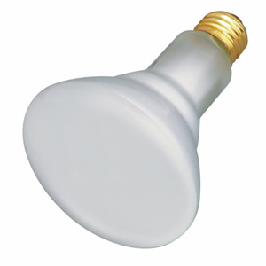 <em class="search-results-highlight">Satco</em> Products BR30 Shatter-resistant Incandescent Lamps 120 V 65 W 480 lm Medium (E26)