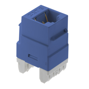 WP3460-BE CAT 6 RJ45 T568 A/B C