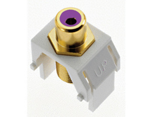 WP3466-WH PURPLE RCA TO F-CONNE