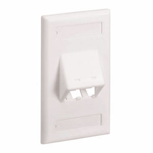 Panduit Standard Angled Multimedia Faceplates 1 Gang 2 Port Electric Ivory ABS Plastic Box