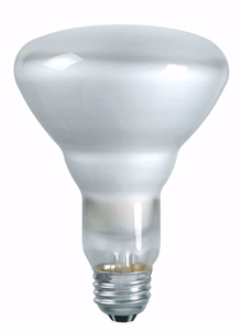 Signify Lighting Long Life Series Incandescent Lamps BR30 65 W Medium (E26)