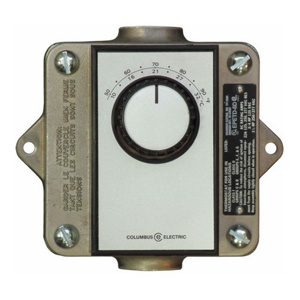 Raywall TPI EPET Series Single Pole - Snap Action Specialty Thermostat - Line Voltage 120 - 277 V 22 A Gray