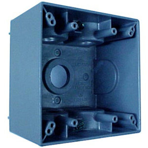 Appleton Emerson ETP™ Weatherproof Outlet Boxes Metallic 2-25/32 in 2 Gang 3/4 in