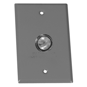 Appleton Emerson ETP™ WC Series Weatherproof Outlet Box Covers Aluminum 1 Gang Gray