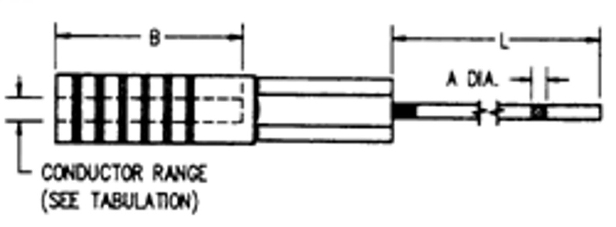 AlternateImage_3094_conngen_Ptdims