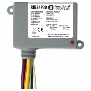 Functional Devices RIB Power Relays 30 A DPDT 24 VAC/VDC