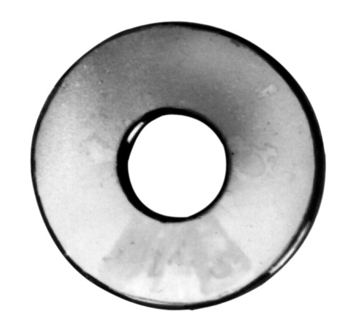 AlternateImage_9353_plh_roundwasherfv