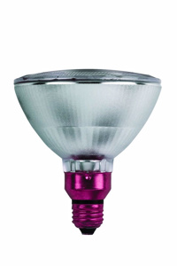 Signify Lighting EcoVantage® Series Halogen PAR Lamps PAR38 25 deg Medium Skirted (E26) Flood 53 W