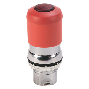 800FM-LMP34MN3RQ11 30 MM ILLUMINATED PUS