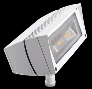 RAB Lighting FF Series Floodlights LED White 5000 K