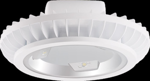 RAB Lighting BAYLED Series LED Round Highbays 120 - 277 V 78 W 11311 lm 5100 K Non-dimmable LED Driver