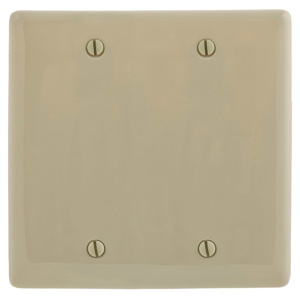 Hubbell Wiring Standard Blank Wallplates 2 Gang Ivory Nylon Box