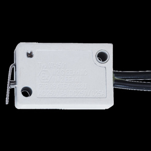 nVent HOFFMAN HLY PANELITE™ C1D2 Hazardous Location LED Light Door Switch Kits Plastic