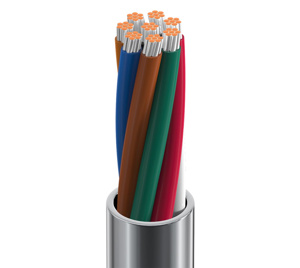 Belden Multi-conductor Riser Signal Cable