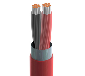 Belden Multi-pair Plenum Signal Cable