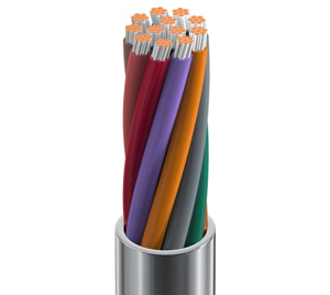 Belden Multi-conductor Riser Signal Cable