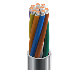 Belden Multi-conductor Riser Signal Cable