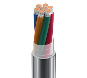 Belden Multi-conductor Riser Signal Cable